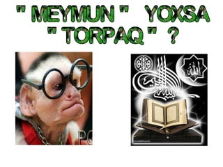 " MEYMUN "  YOXSA  " TORPAQ "  ? 