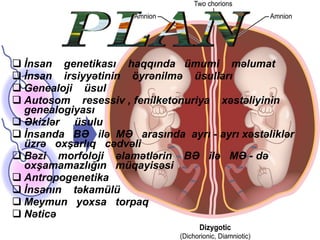 İnsan  genetikası  haqqında  ümumi  məlumat İnsan  irsiyyətinin  öyrənilmə  üsulları Genealoji  üsul Autosom  resessiv , fenilketonuriya  xəstəliyinin genealogiyası Əkizlər  üsulu İnsanda  BƏ   ilə  MƏ  arasında  ayrı - ayrı xəstəliklər  üzrə  oxşarlıq  cədvəli Bəzi  morfoloji  əlamətlərin  BƏ  ilə  MƏ - də  oxşamamazlığın  müqayisəsi Antropogenetika İnsanın  təkamülü Meymun  yoxsa  torpaq Nəticə PLAN 