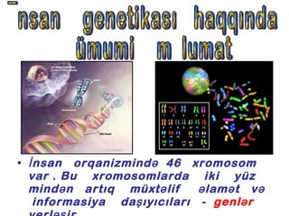 İnsan   orqanizmində   46  xromosom  var . Bu  xromosomlarda  iki  yüz  mindən  artıq  müxtəlif  əlamət  və  informasiya  daşıyıcıları   -  genlər  yerləşir. İnsan  genetikası  haqqında ümumi  məlumat  