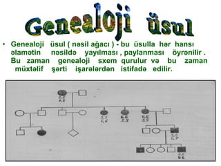 Genealoji  üsul ( nəsil ağacı ) - bu  üsulla  hər  hansı  əlamətin  nəsildə  yayılması , paylanması  öyrənilir . Bu  zaman  genealoji  sxem  qurulur  və  bu  zaman  müxtəlif  şərti  işarələrdən  istifadə  edilir. Genealoji  üsul 