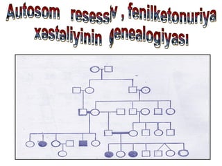 Autosom  resessiv , fenilketonuriya  xəstəliyinin  genealogiyası 