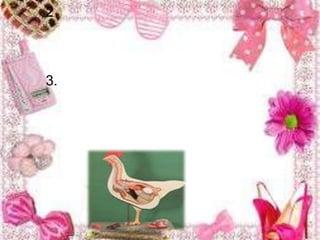 วัสดุไม่ตีพิมพ์ หมาย ถึง วัสดุสารสนเทศที่ไม่อยู่ในรูปแบบของตัวพิมพ์ และสามารถสื่อความหมายของข้อมูลที่บรรจุอยู่ได้โดยอาศัยภาพและเสียงเป็นหลัก แบ่งออกเป็นประเภทต่าง ๆ ดังนี้ 1. แผนที่และลูกโลก เป็นทรัพยากรสารสนเทศที่แสดงผิวโลกในด้านต่างๆ เช่น ลักษณะภูมิประเทศ ที่ตั้งของสถานที่ต่างๆ อาณาเขต เส้นทางคมนาคม เป็นต้น โดยมีการย่อส่วนสิ่งต่างๆ ตามอัตราส่วนที่ต้องการ 