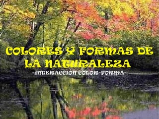 COLORES Y FORMAS DE LA NATURALEZA   -iNTERACCIÓN COLOR-FORMA- 