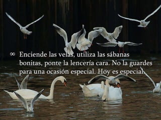 Enciende las velas, utiliza las sábanas bonitas, ponte la lencería cara. No la guardes para una ocasión especial. Hoy es especial. 
