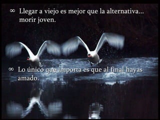 Llegar a viejo es mejor que la alternativa... morir joven.      Lo único que importa es que al final hayas amado. 