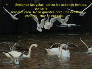  *       Enciende las velas, utiliza las sábanas bonitas, ponte la           lencería cara. No la guardes para una ocasión especial. Hoy es especial.   
