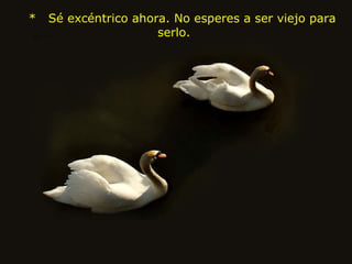     *   Sé excéntrico ahora. No esperes a ser viejo para serlo.  