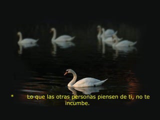   *       Lo que las otras personas piensen de ti, no te incumbe.  