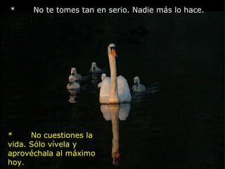 *       No te tomes tan en serio. Nadie más lo hace.        *       No cuestiones la vida. Sólo vívela y aprovéchala al máximo hoy.                             