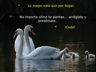 *       No importa cómo te sientas... arréglate y preséntate.  *       Lo mejor está aún por llegar.      *       ¡Cede!           