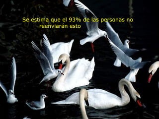 Se estima que el 93% de las personas no reenviarán esto                     