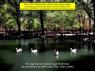 El Lago de los Cisnes aquí mostrado se encuentra en Salt Lake City, Utah (USA) Peter Ilich Tchaikovsky, músico ruso (1840-1893). La música que se presenta aquí es una de las partes más  dramáticas del ballet y corresponde a la escena del encantamiento. 