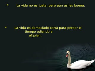 *       La vida no es justa, pero aún así es buena.     *       La vida es demasiado corta para perder el tiempo odiando a          alguien.                