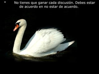 *       No tienes que ganar cada discusión. Debes estar de acuerdo en no estar de acuerdo.                                                       