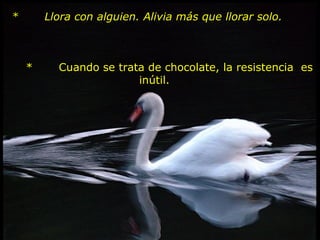 *       Llora con alguien. Alivia más que llorar solo.         *       Cuando se trata de chocolate, la resistencia  es inútil.    