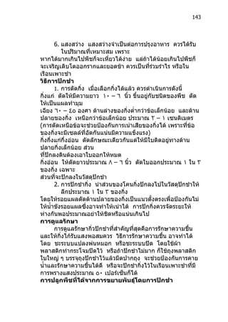 143




        6. แสงสว่าง แสงสว่างจำาเป็นต่อการปรุงอาหาร ควรได้รับ
           ในปริมาณที่เหมาะสม เพราะ
หากได้มากเกินไปพืชก็จะเหี่ยวได้ง่าย แล่ถ้าได้น้อยเกินไปพืชก็
จะเจริญเติบโตออกรากและยอดช้า ควรเป็นที่รวมรำาไร หรือใน
                                                  ่
เรือนเพาะชำา
วิธีการปักชำา
        1. การตัดกิ่ง เมื่อเลือกกิ่งได้แล้ว ควรดำาเนินการดังนี้
กิ่งแก่ ตัดให้มีความยาว ١٠ – ٦ นิว ขึ้นอยู่กับชนิดของพืช ตัด
                                        ้
ให้เป็นแผลทำามุม
เฉียง ٦٠ – ٤٥ องศา ด้านล่างของกิ่งตำ่ากว่าข้อเล็กน้อย และด้าน
ปลายของกิ่ง เหนือกว่าข้อเล็กน้อย ประมาณ ٢ – ١ เซนติเมตร
(การตัดเหนือข้อจะช่วยป้องกันการเน่าเสียของกิ่งได้ เพราะที่ข้อ
ของกิ่งจะมีเซลล์ที่อัดกันแน่นมีความแข็งแรง)
กิ่งกึ่งแก่กึ่งอ่อน ตัดลักษณะเดียวกันแต่ให้มีใบติดอยู่ทางด้าน
ปลายกิ่งเล็กน้อย ส่วน
ที่ปักลงดินต้องเอาใบออกให้หมด
กิ่งอ่อน ให้ตัดยาวประมาณ ٨ – ٦ นิว ตัดใบออกประมาณ ١ ใน ٣
                                          ้
ของกิ่ง เฉพาะ
ส่วนที่จะปักลงในวัสดุปักชำา
        2. การปักชำากิ่ง นำาส่วนของโคนกิ่งปักลงไปในวัสดุปักชำาให้
           ลึกประมาณ ١ ใน ٣ ของกิ่ง
โดยให้รอยแผลตัดด้านปลายของกิ่งเป็นแนวตั้งตรงเพื่อป้องกันไม่
ให้นำ้าขังรอยแผลซึ่งอาจทำาให้เน่าได้ การปักกิ่งควรจัดระยะให้
ห่างกันพอประมาณอย่าให้ชิดหรือแน่นเกินไป
การดูแลรักษา
        การดูแลรักษากิ่วปักชำาที่สำาคัญที่สุดคือการรักษาความชื้น
และให้กิ่งไก้รับแสงพอสมควร วิธีการรักษาความชื้น อาจทำาได้
โดย ชะระบบแปลงพ่นหมอก หรือชะระบบปิด โดยใช้ผ้า
พลาสติกทำากระโจมปิดไว้ หรือถ้าปักชำาไม่มาก ก็ใช้ถุงพลาสติก
ใบใหญ่ ๆ บรรจุถุงปักชำาไว้แล้วมีดปากถุง จะช่วยป้องกันการคาย
นำ้าและรักษาความชื้นได้ดี หรือจะปักชำากิ่งไว้ในเรือนเพาะชำาทีมี ่
การพรางแสงประมาณ ٥٠ เปอร์เซ็นก็ได้
การปลูกพืชที่ได้จากการขยายพันธุ์โดยการปักชำา
 