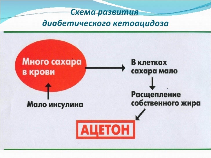Как войти в кетоз быстро и правильно. Как войти в кетоз быстро и правильно
