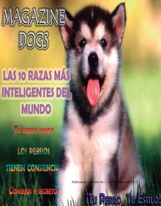 Magazine dogs - Bogotá D.C. 2012




                                                     CUIDADOS




Publicación Gratutita No 1. Ed. 1 , Diciembre 2012



  1
 