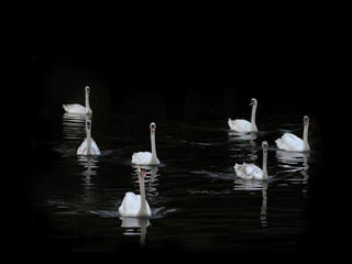 *   Si una relación tiene que ser secreta,
           mejor no tenerla.
 