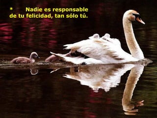 *     Nadie es responsable
de tu felicidad, tan sólo tú.
 