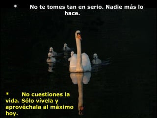 *    No te tomes tan en serio. Nadie más lo
                  hace.




*     No cuestiones la
vida. Sólo vívela y
aprovéchala al máximo
hoy.
 