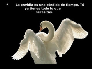 *   La envidia es una pérdida de tiempo. Tú
         ya tienes todo lo que
                necesitas.
 