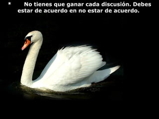 *     No tienes que ganar cada discusión. Debes
    estar de acuerdo en no estar de acuerdo.
 