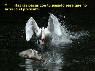 *     Haz las paces con tu pasado para que no
arruine el presente.
 