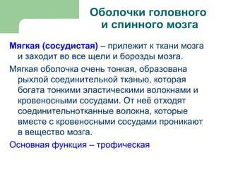 Оболочки головного
                   и спинного мозга
Мягкая (сосудистая) – прилежит к ткани мозга
 и заходит во все щели и борозды мозга.
Мягкая оболочка очень тонкая, образована
 рыхлой соединительной тканью, которая
 богата тонкими эластическими волокнами и
 кровеносными сосудами. От неё отходят
 соединительнотканные волокна, которые
 вместе с кровеносными сосудами проникают
 в вещество мозга.
Основная функция – трофическая
 