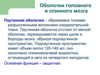 Оболочки головного
                   и спинного мозга
Паутинная оболочка – образована тонкими
 разрыхленными волокнами соединительной
 ткани. Паутинная оболочка отстоит от мягкой
 оболочки, перекидывается через щели и
 борозды мозга, образуя подпаутинное
 пространство. Подпаутинное пространство
 имеет объем около 120-140 мл, оно
 заполнено спинномозговой жидкостью,
 оттекающей в него из четвертого желудочка.
Основная функция – защитная
 