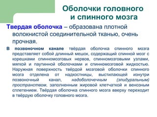 Оболочки головного
                          и спинного мозга
Твердая оболочка – образована плотной
  волокнистой соединительной тканью, очень
  прочная.
В    позвоночном канале твёрдая оболочка спинного мозга
    представляет собой длинный мешок, содержащий спинной мозг с
    корешками спинномозговых нервов, спинномозговыми узлами,
    мягкой и паутинной оболочками и спинномозговой жидкостью.
    Наружная поверхность твёрдой мозговой оболочки спинного
    мозга отделена от надкостницы, выстилающей изнутри
    позвоночный     канал,     надоболочечным     (эпидуральным)
    пространством, заполненным жировой клетчаткой и венозным
    сплетением. Твёрдая оболочка спинного мозга вверху переходит
    в твёрдую оболочку головного мозга.
 
