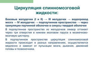 Циркуляция спинномозговой
              жидкости:
Боковые желудочки (I и II) → III желудочек → водопровод
мозга → IV желудочек → подпаутинное пространство → через
грануляции паутинной оболочки в синусы твердой оболочки
В подпаутинное пространство из желудочков ликвор оттекает
через три отверстия в нижнем мозговом парусе в мозжечково-
мозговую цистерну.
В подпаутинном пространстве циркуляция спинномозговой
жидкости происходит в разных направлениях, осуществляется
медленно и зависит от пульсации мозга, дыхания, движений
головы и позвоночника.
 