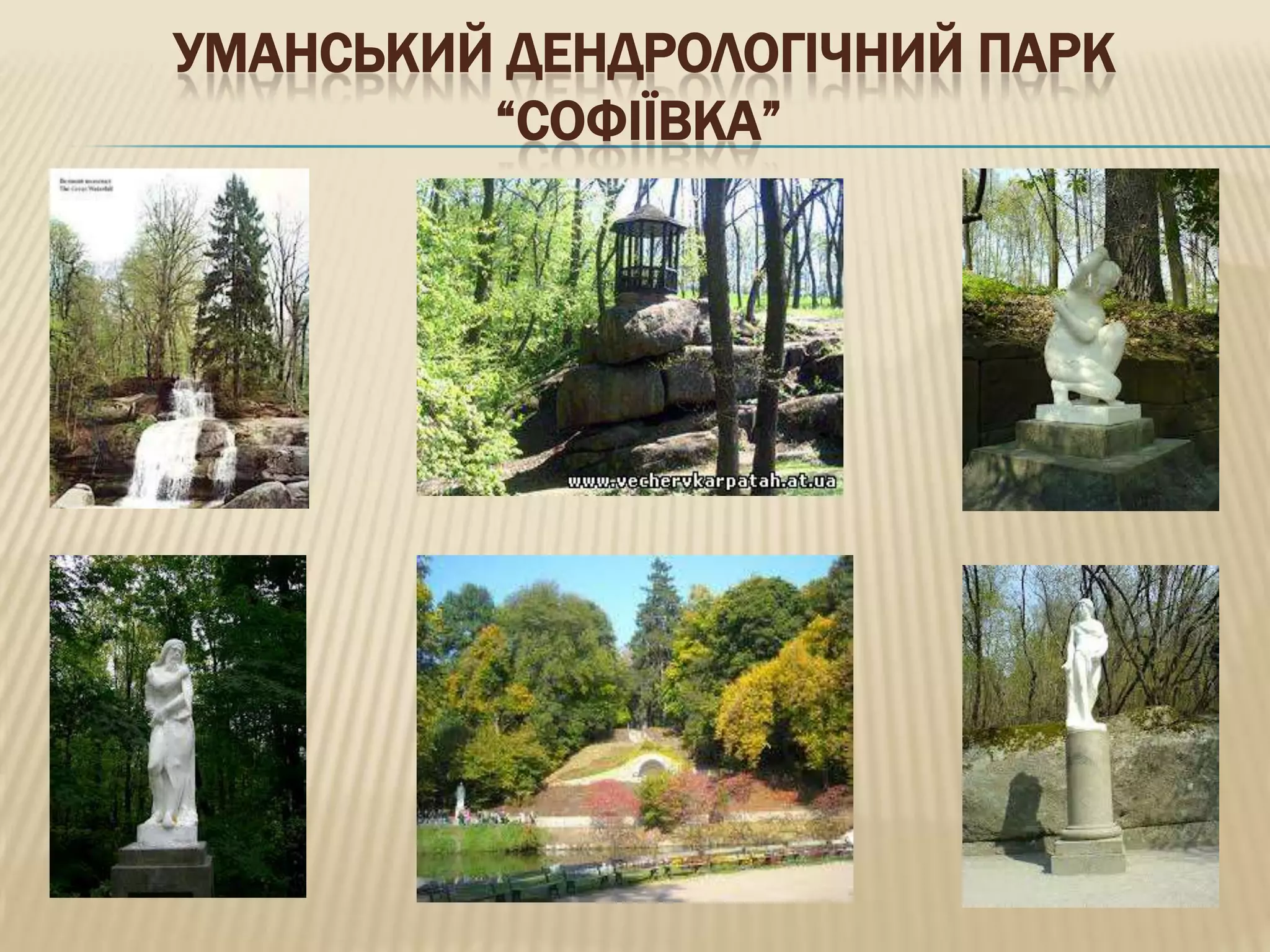 УМАНСЬКИЙ ДЕНДРОЛОГІЧНИЙ ПАРК
         “СОФІЇВКА”
 