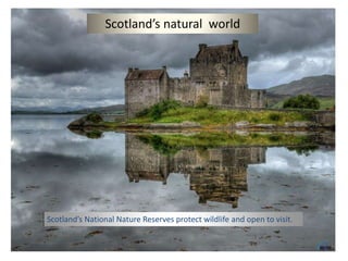 Scotland’s natural world




Scotland’s National Nature Reserves protect wildlife and open to visit.
 