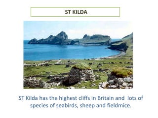 ST KILDA
ST Kilda has the highest cliffs in Britain and lots of
species of seabirds, sheep and fieldmice.