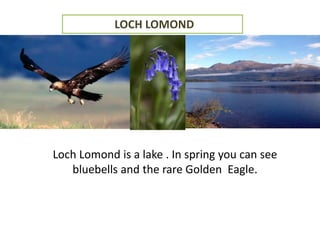 LOCH LOMOND
Loch Lomond is a lake . In spring you can see
bluebells and the rare Golden Eagle.