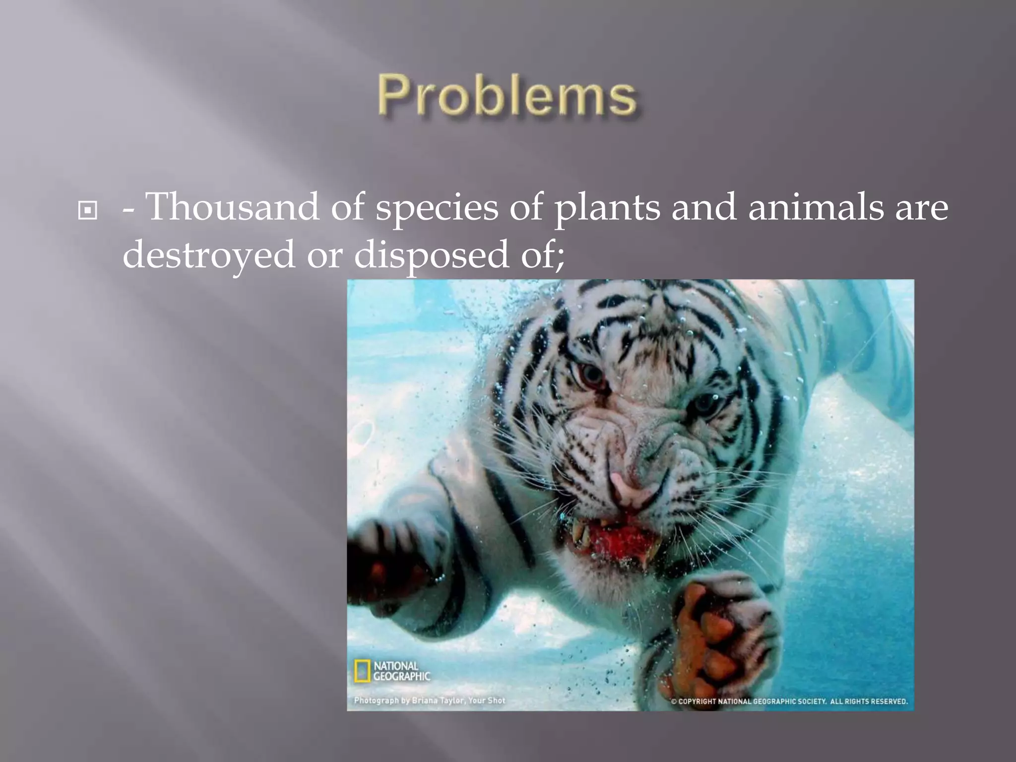    - Thousand of species of plants and animals are
    destroyed or disposed of;
 