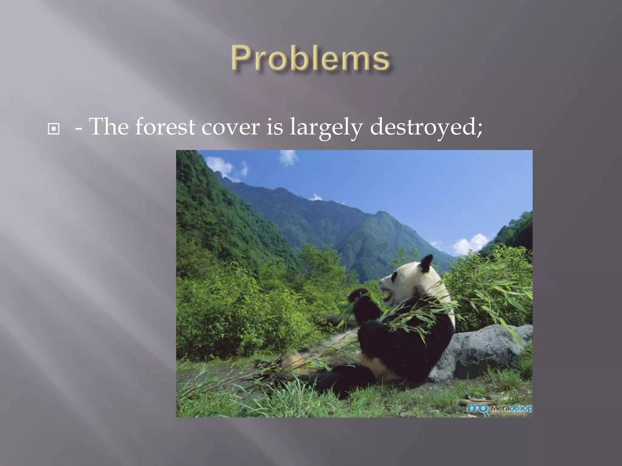    - The forest cover is largely destroyed;
 