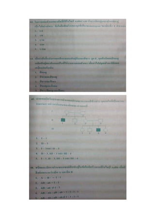 สอบ 7 วิชา