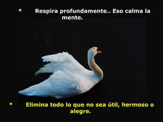 * Respira profundamente.. Eso calma la
mente.
* Elimina todo lo que no sea útil, hermoso o
alegre.
 