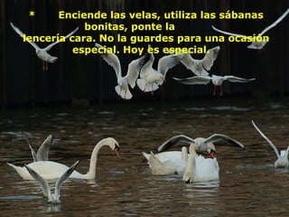 * Enciende las velas, utiliza las sábanas
bonitas, ponte la
lencería cara. No la guardes para una ocasión
especial. Hoy es especial.
 