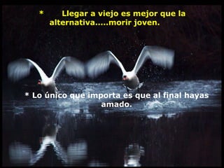  *       Llegar a viejo es mejor que la 
alternativa.....morir joven.     
* Lo único que importa es que al final hayas 
amado.
 