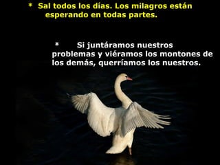       *  Sal todos los días. Los milagros están 
esperando en todas partes. 
 *       Si juntáramos nuestros 
problemas y viéramos los montones de 
los demás, querríamos los nuestros. 
 
