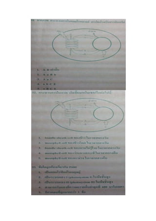 7 สามัญ ชีววิทยา