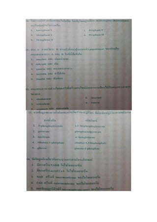 7 สามัญ ชีววิทยา