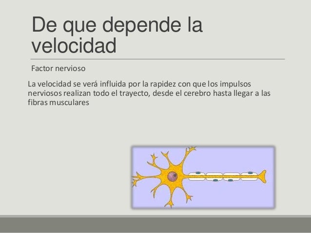 7. metodología para el desarrollo de la rapidez