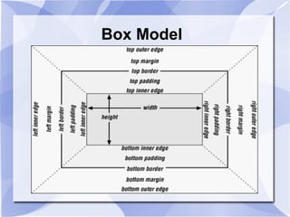 Box Model
 