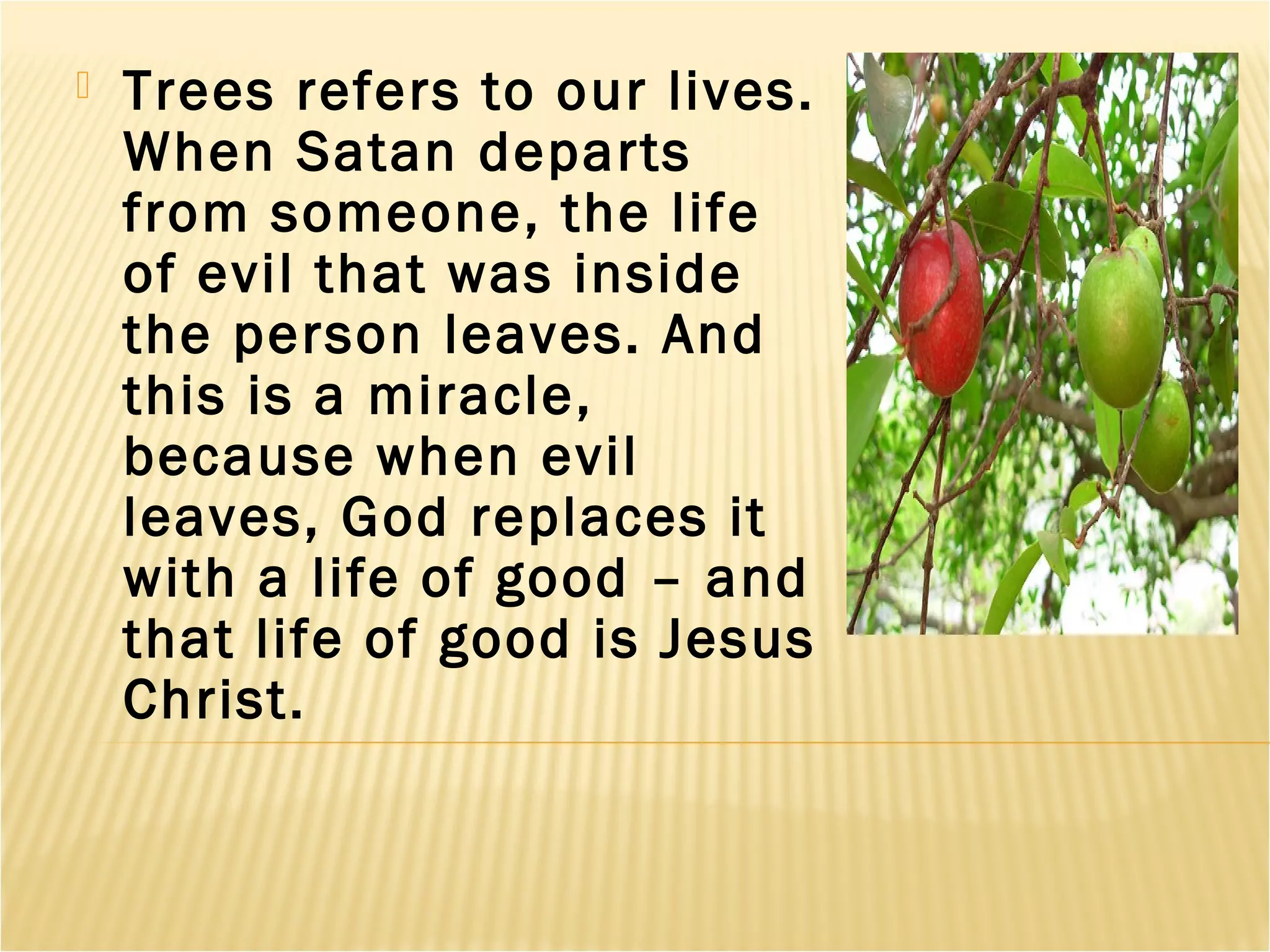 Trees refers to our lives.
When Satan departs
from someone, the life
of evil that was inside
the person leaves. And
this is a miracle,
because when evil
leaves, God replaces it
with a life of good – and
that life of good is Jesus
Christ.
 