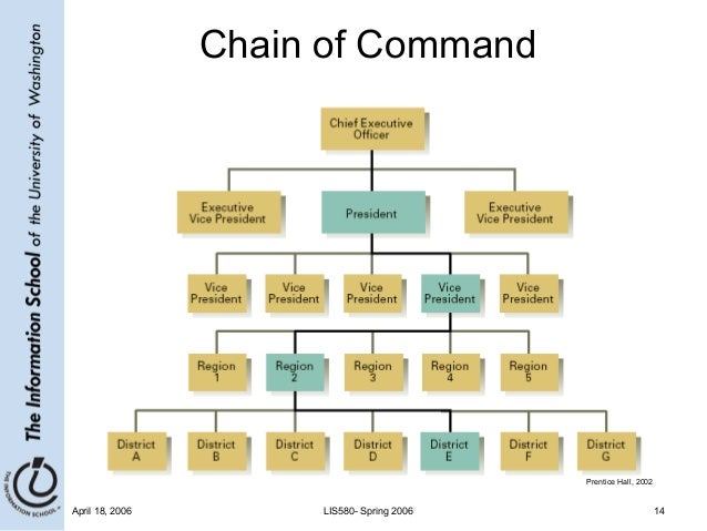 7 business chain of command chart