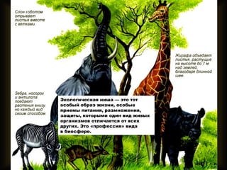 Экологическая ниша — это тот
особый образ жизни, особые
приемы питания, размножения,
защиты, которыми один вид живых
организмов отличается от всех
других. Это «профессия» вида
в биосфере.
 